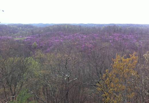 Lockegee Rock and Cave Run Lake